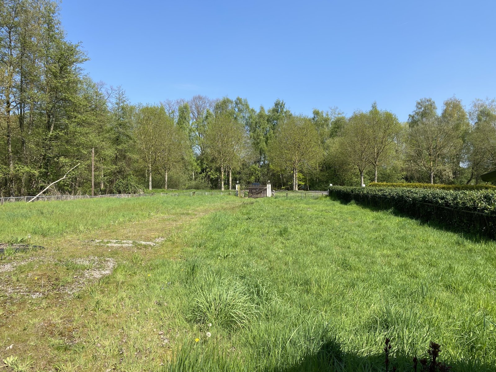 freistehendes Einfamilienhaus auf 5000 m² Grundstück -  attraktives Sanierungsobjekt im Außenbereich