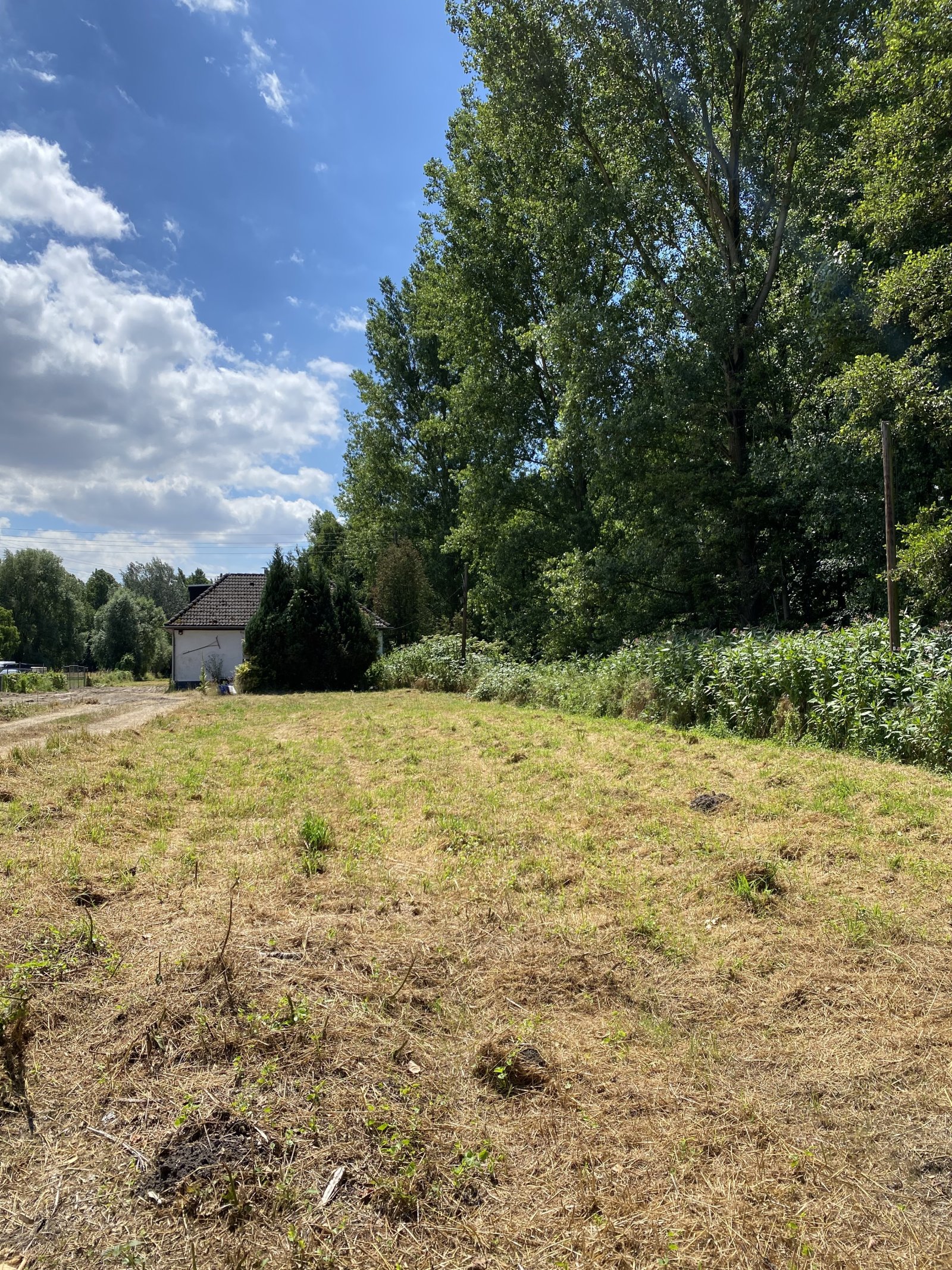 freistehendes Einfamilienhaus auf 5000 m² Grundstück -  attraktives Sanierungsobjekt im Außenbereich