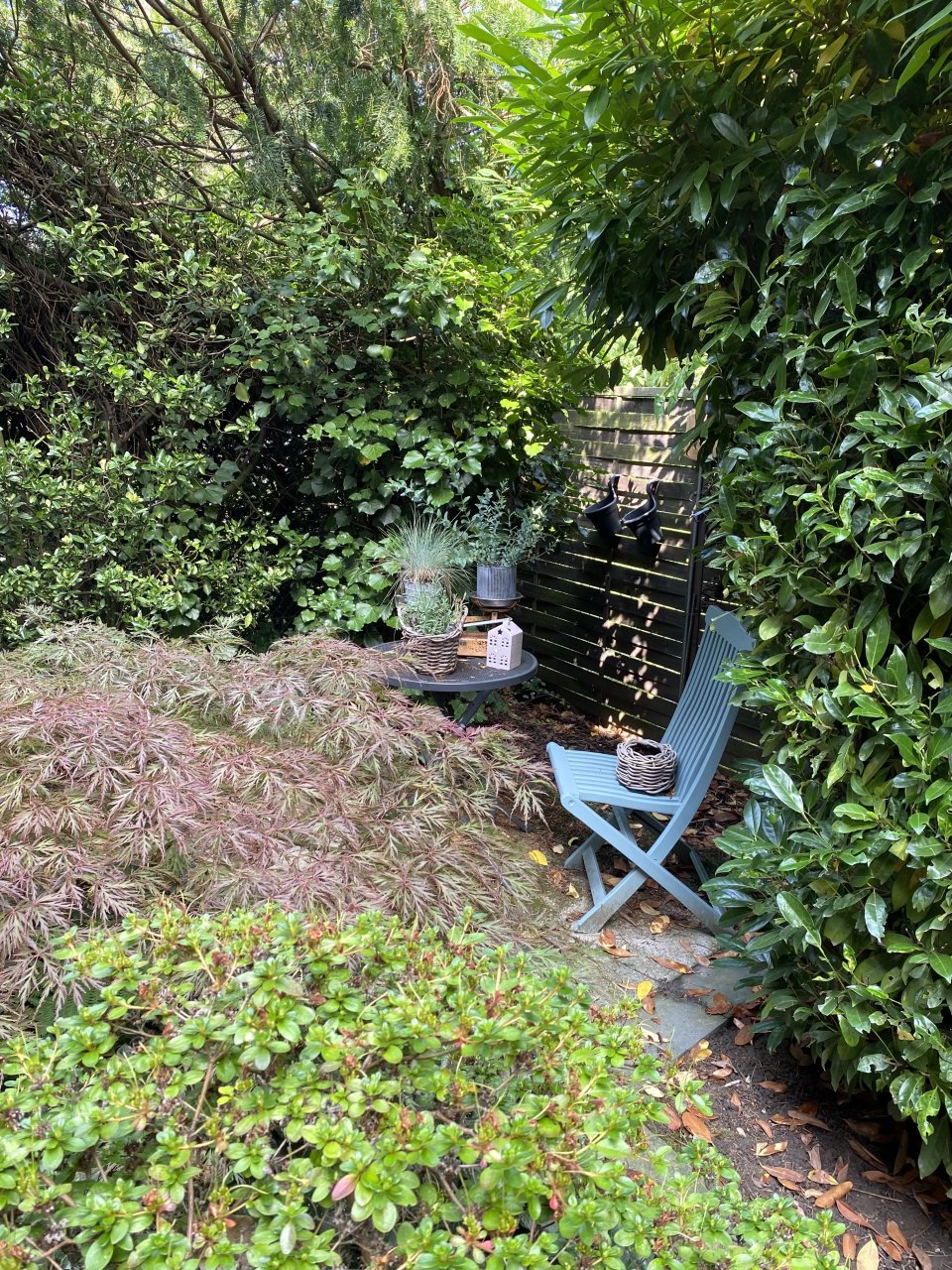 3 Familienhaus in ruhiger Lage