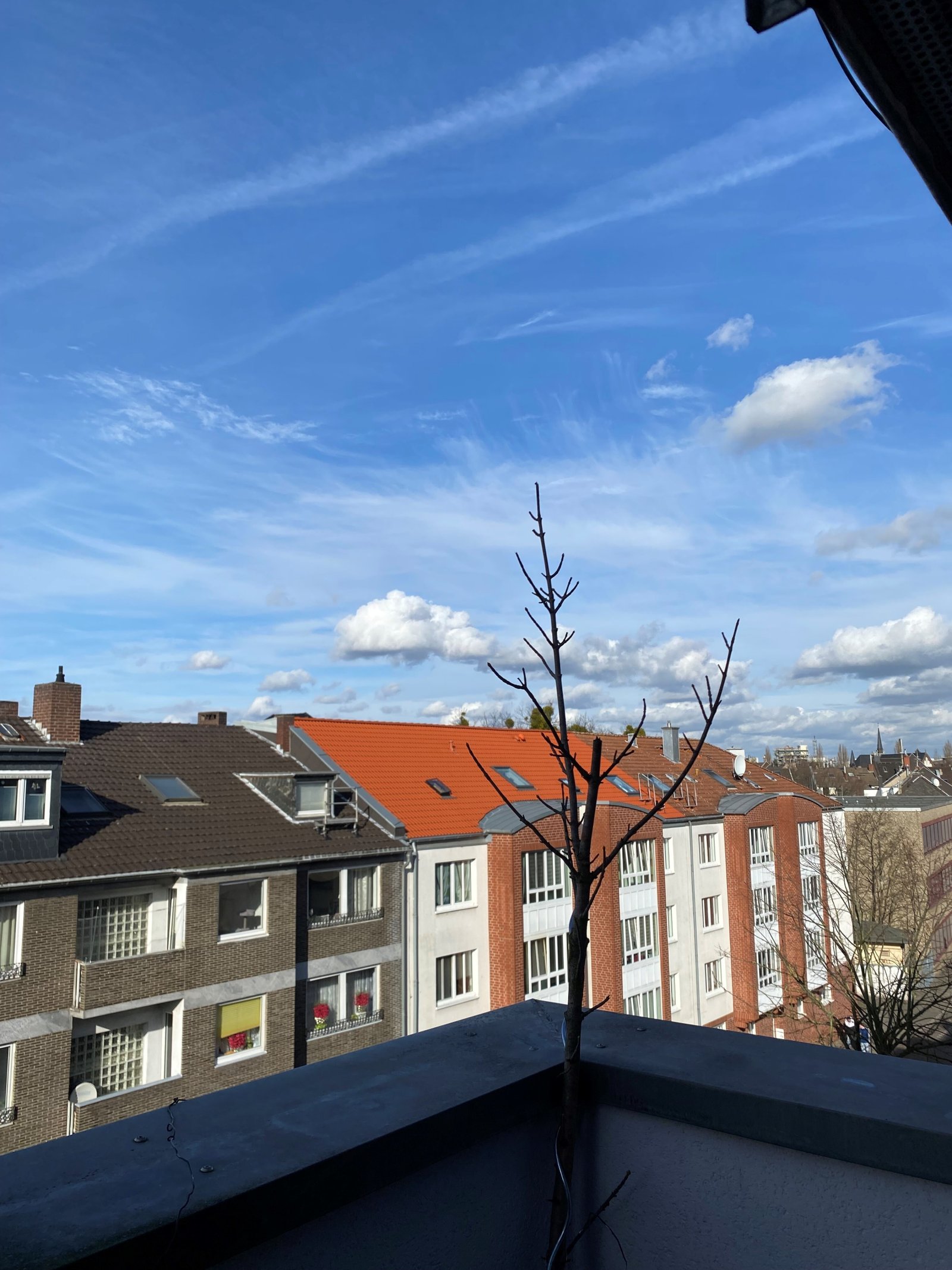 Blick von Balkon Zimmer 1und 2
