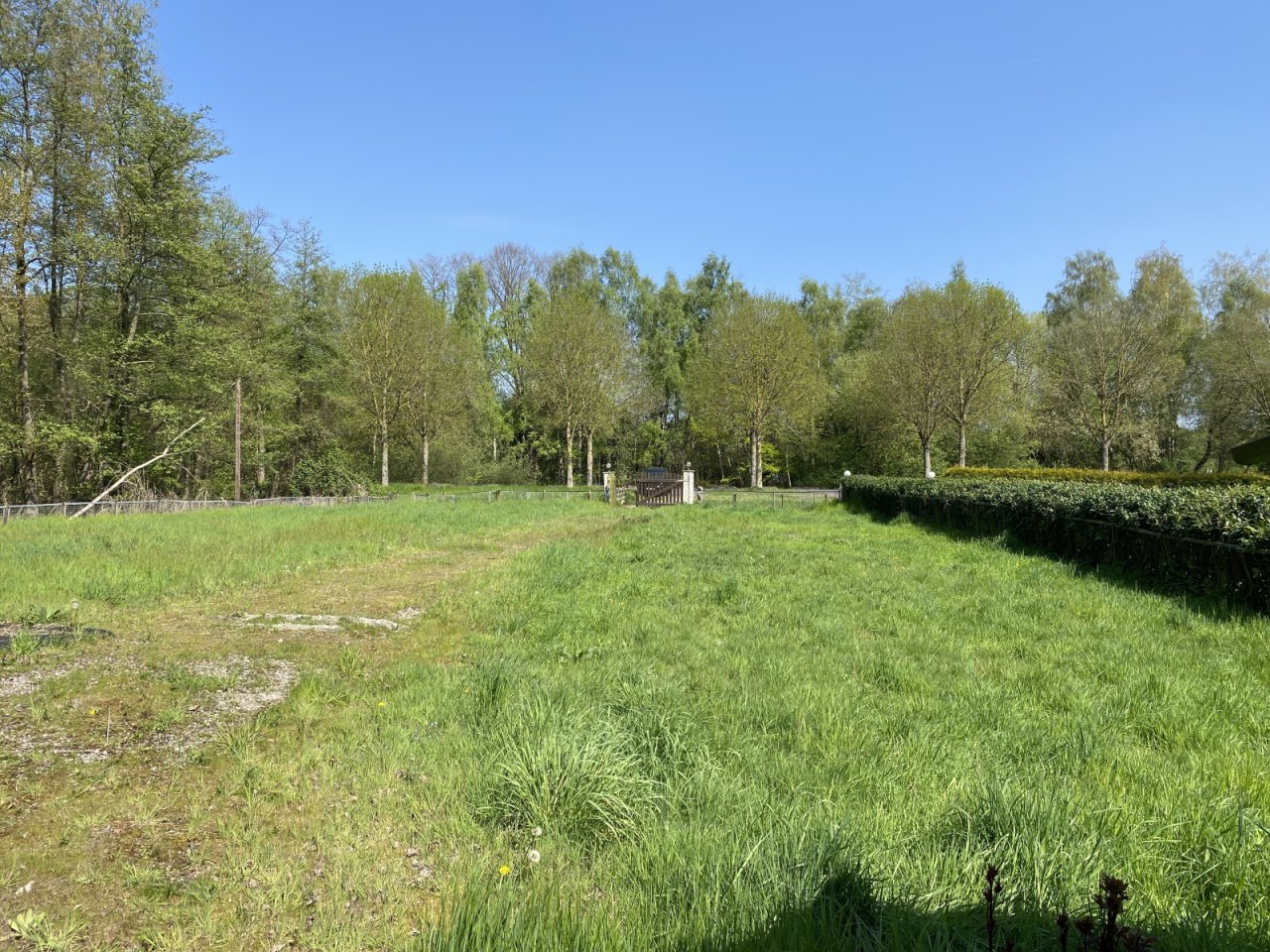 Garten vor dem Haus