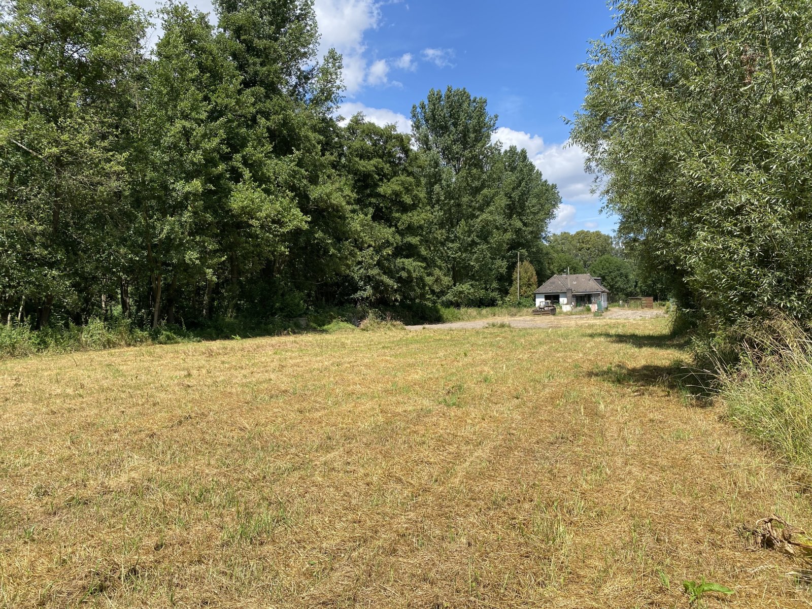 Anblick von hinten