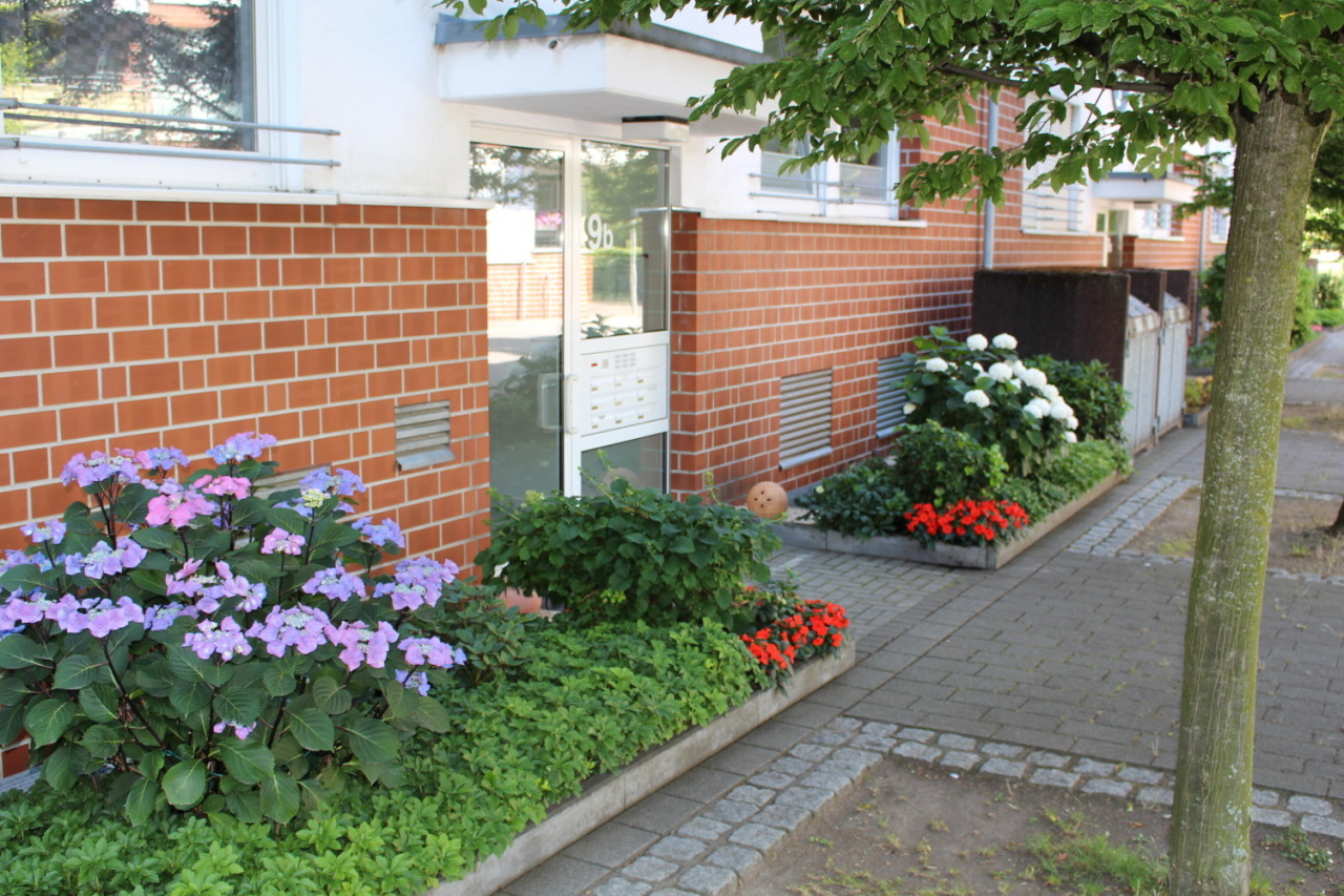 Kaarst: Gartengeschosswohnung, 2ZKDB, große Terasse, Doppel TG - direkt am Stadtpark! 